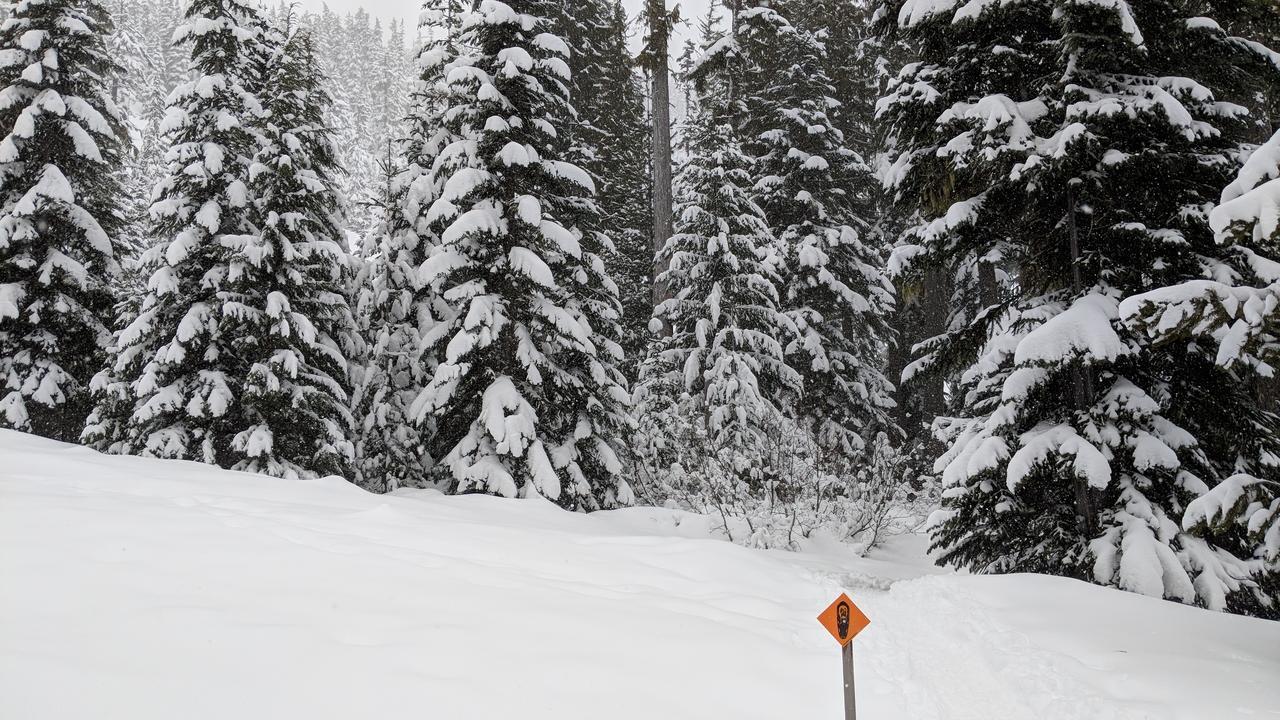 White Pass Log Cabin Luxury Retreat Rimrock Esterno foto