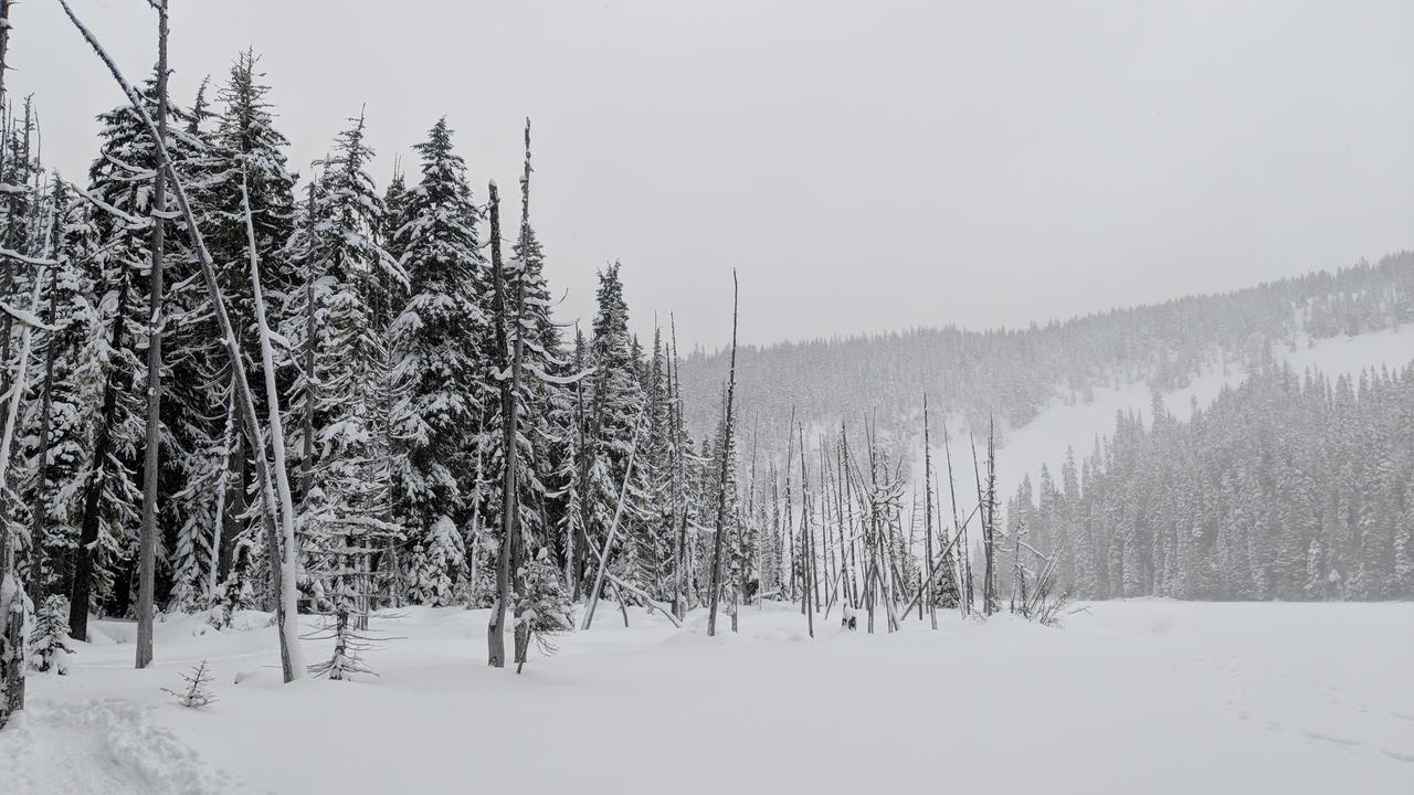 White Pass Log Cabin Luxury Retreat Rimrock Esterno foto